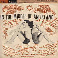Artie Malvin - In the Middle of an Island