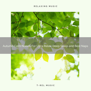 White Noise Meditation, White Noise Healing Center - Autumn Calm Noises For Ultra Relax, Deep Sleep and Best Naps