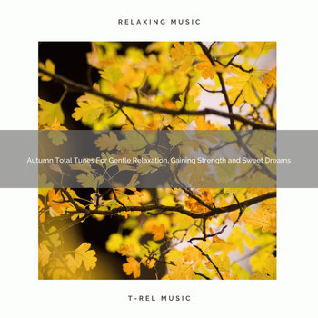 White Noise Meditation, Sleep Baby Sleep, White Noise Healing Center - Autumn Total Tunes For Gentle Relaxation, Gaining Strength and Sweet Dreams