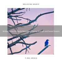 White Noise Meditation, Sleep Baby Sleep, White Noise Healing Center - Brilliant Noise For Gentle Relaxation, Gaining Strength and Sweet Dreams