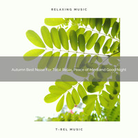 White Noise Meditation, Sleep Baby Sleep, White Noise Healing Center - Autumn Best Noise For Total Relax, Peace of Mind and Good Night