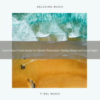 White Noise Meditation, White Noise Healing Center - Good Mood Total Noise For Gentle Relaxation, Master Sleep and Good Night