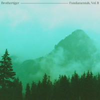 Brothertiger - Fundamentals, Vol. II