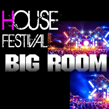Various Artists - House Festival Big Room