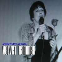 Velvet Hammer - Momentary Silence