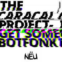 The Caracal Project - Go Get Some / Botfonk