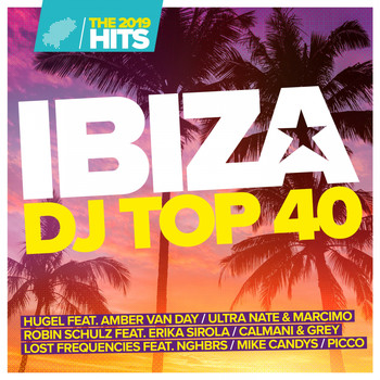 Various Artists - Ibiza DJ Top 40 - The Hits 2019 (Explicit)