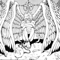 DP - Angel Wings 