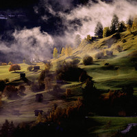Hobbit Dreamland, Motivation Sensation - Desolate