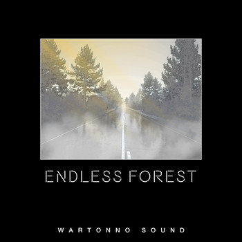 Wartonno Sound - Endless Forest