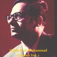 Habib Wali Muhammad - Habib Wali Muhammad Classics, Vol. 1 (Live)