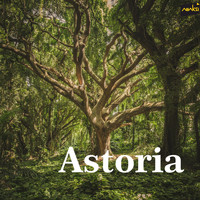 Amaksi - Astoria