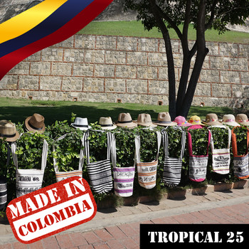 Varios Artistas - Made In Colombia: Tropical, Vol. 25