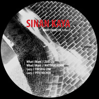 Sinan Kaya - What I Want (Remixed)