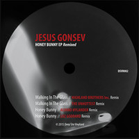 Jesus Gonsev - Honey Bunny (Remixed)