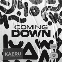 kaeru - Coming Down