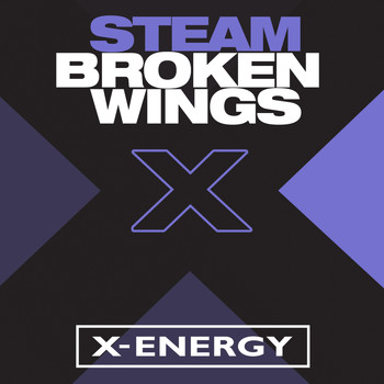 Steam - Broken Wings