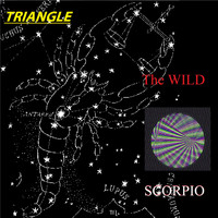 The Wild - Triangle