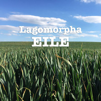Lagomorpha - Eile