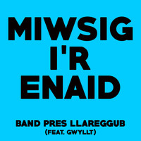 Band Pres Llareggub - Miwsig i'r Enaid