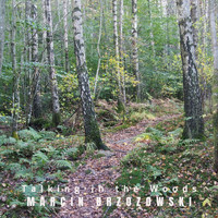 Marcin Brzozowski / Marcin Brzozowski - Talking in the Woods
