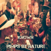 Known / Known - PIMPS BY NATURE