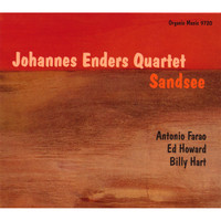 Johannes Enders - Sandsee