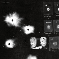H4RDY - gunshot