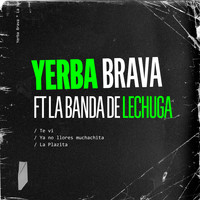 Yerba Brava - Te Vi / Ya No Llores Muchachita / La Plazita