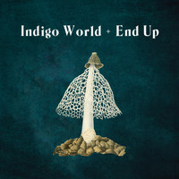 Hydrogen Sea - Indigo World / End Up