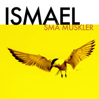 Ismael - Små muskler