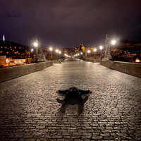 Michael Bonczar - Vision of Out