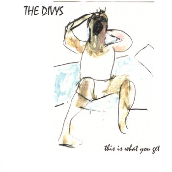 The Divys - This Is What You Get