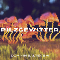 Dominik Saltevski - Pilzgewitter
