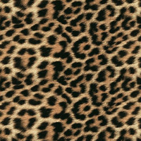 Waw*Mart / - Cheetahs
