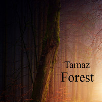 Tamaz / - Forest