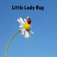 Birdie - Little Lady Bug