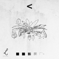 Lavier - The Ballad Of Bo