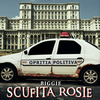 Biggie - Scufita Rosie