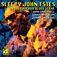 Sleepy John Estes - On the Chicago Blues Scene