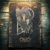Endless - Testa Estudio