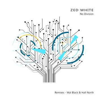 Zed White - No Division