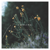 Ambling - Among the Leaves so Green