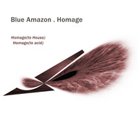 Blue Amazon - Homage