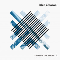 Blue Amazon - Trax From The Vaults