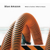 Blue Amazon - What is Techno / What is House