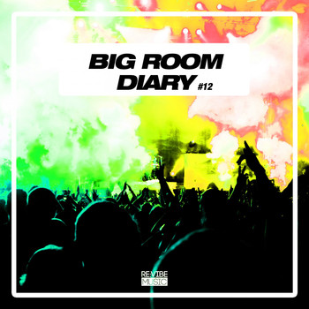 Various Artists - Big Room Diary, Vol. 12 (Explicit)