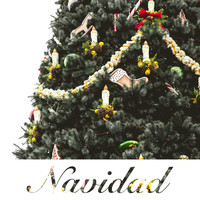 Coro Infantil de Villancicos Populares, Gran Coro de Villancicos, Navidad Acústica - Navidad