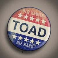 Toad The Wet Sprocket - Old Habits Die Hard