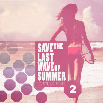 Various Artists - Save the last Wave of Summer, Vol. 2 (Deep & House Grooves)